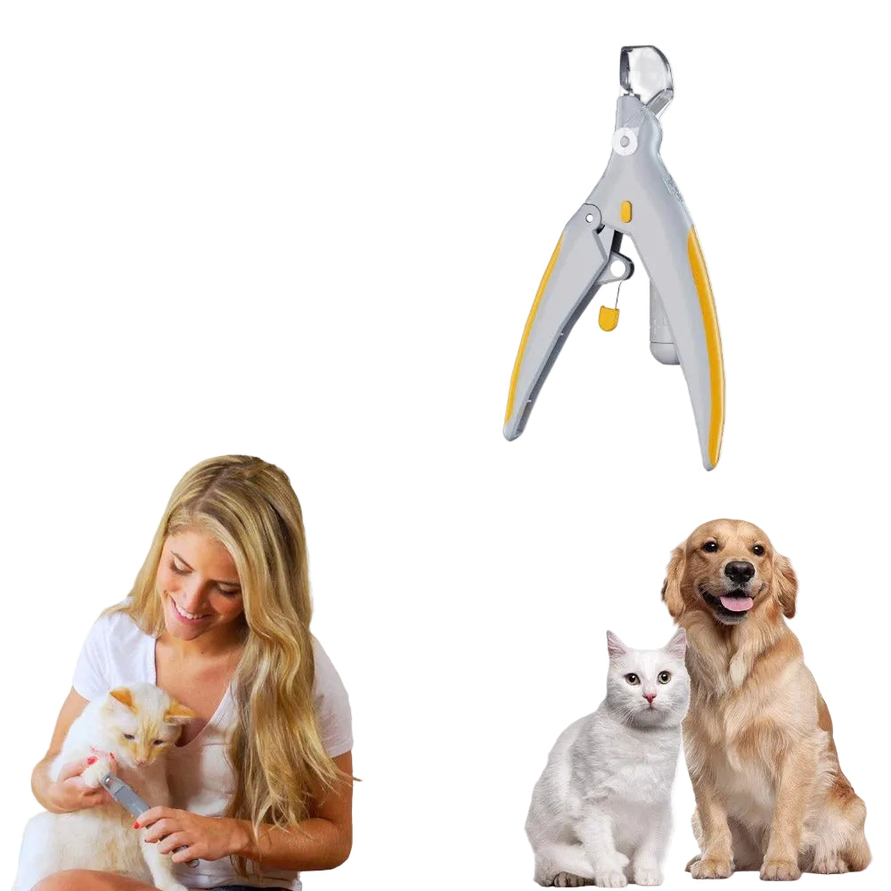 204d854ed688535ebbadcf1ededa9aa0